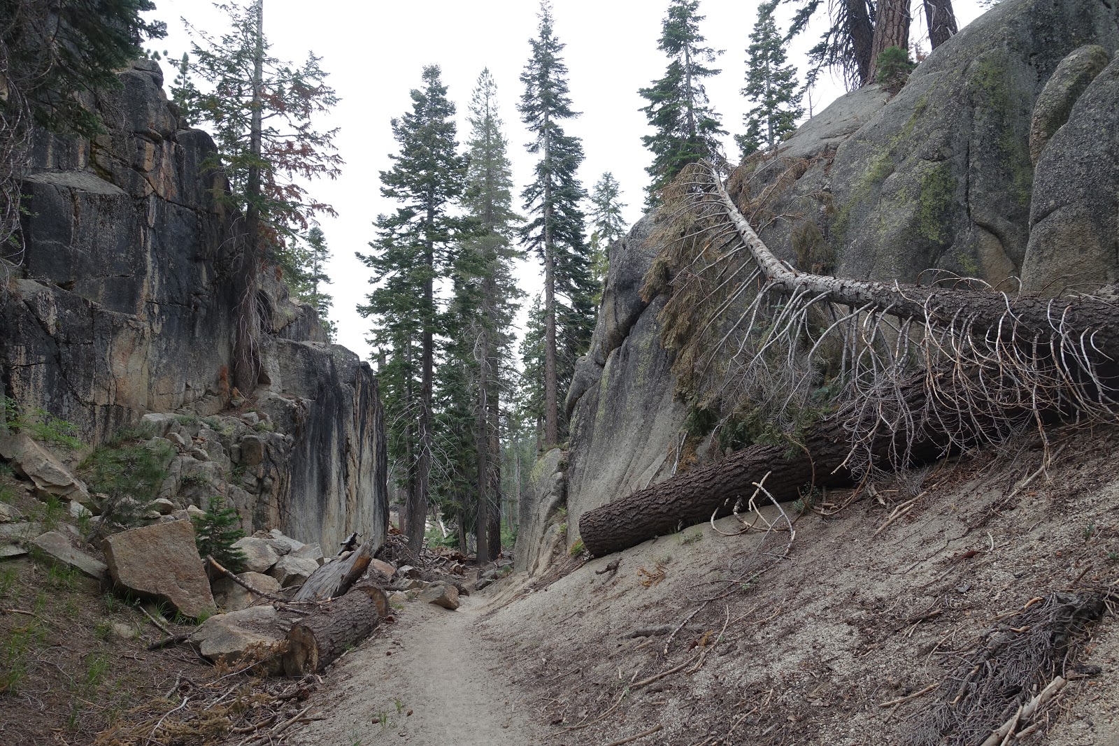 Of Rock & Riffle: December 2017