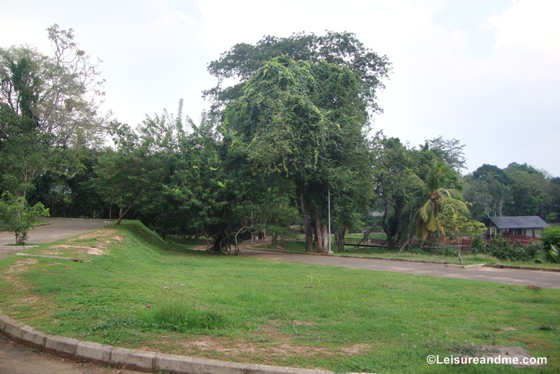 Pinnawala Open Zoo 