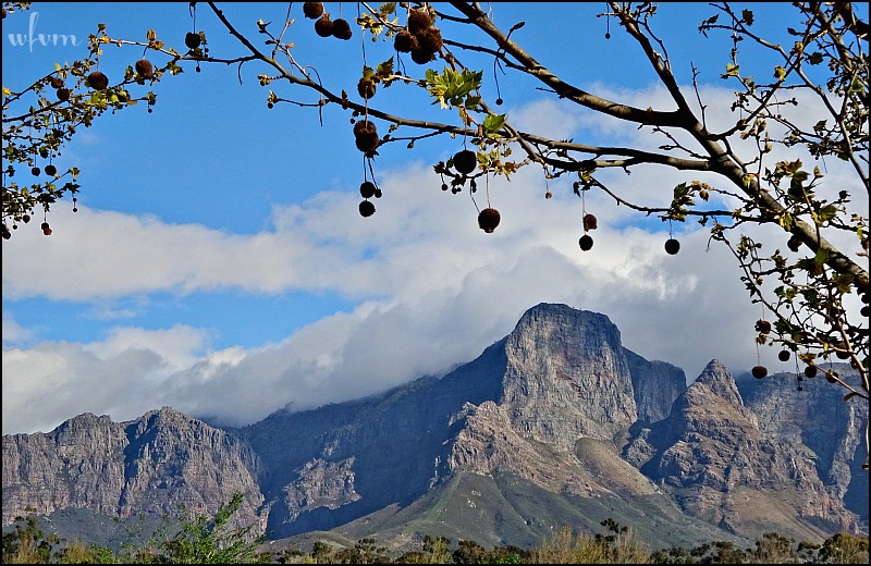 Where Five Valleys Meet Dutch Settlers and their Architecture in South