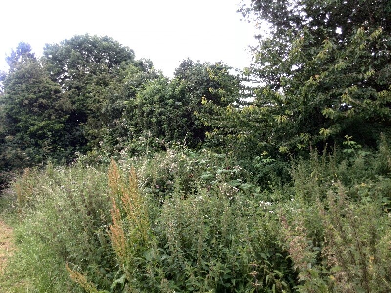 Climbin' Ovver Heritage walk Gowdall & Braithwell Railway