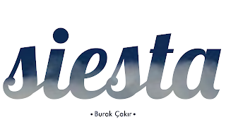 Resim