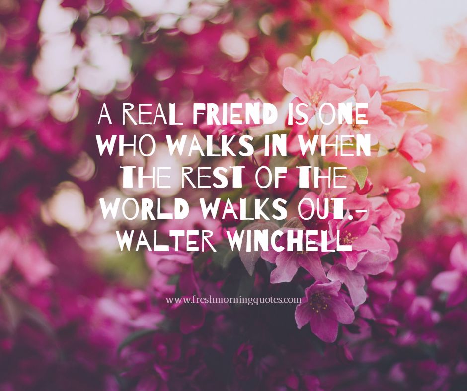 20 Most Beautiful Friendship Quotes