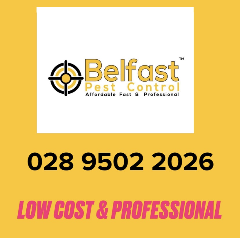 Kancik Pest Control Near Belfast