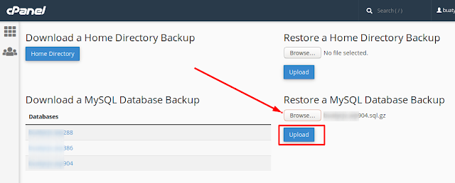Bagaimana Backup dan Restore Database di Cpanel ?