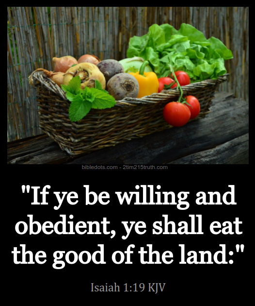 2 Timothy 2 15 Truth Verse Of The Day Isaiah 1 19 KJV 2 Timothy 2 15 Truth Verse Of The Day Isaiah 1 19 KJV