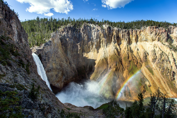 Gran Cañón de Yellowstone, con las Lower Falls (Yellowstone, Estados Unidos) Gran Cañón de Yellowstone, con las Lower Falls (Yellowstone, Estados Unidos)