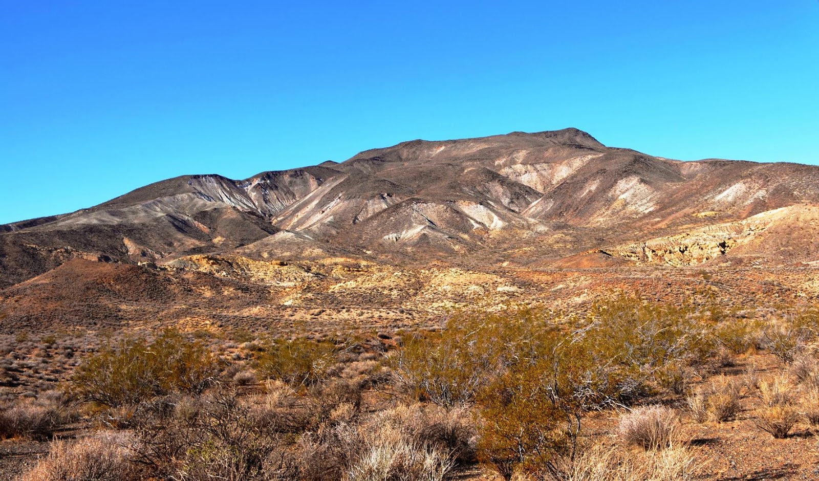 Patrick Tillett Sheep Springs Petroglyphs El Paso Mountains Wilderness
