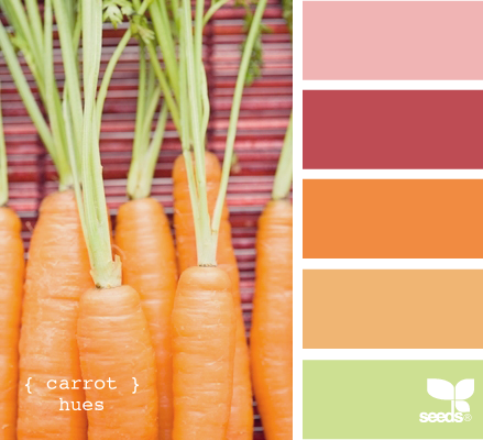 Tanarah Luxe Floral: Shocking Sorbet