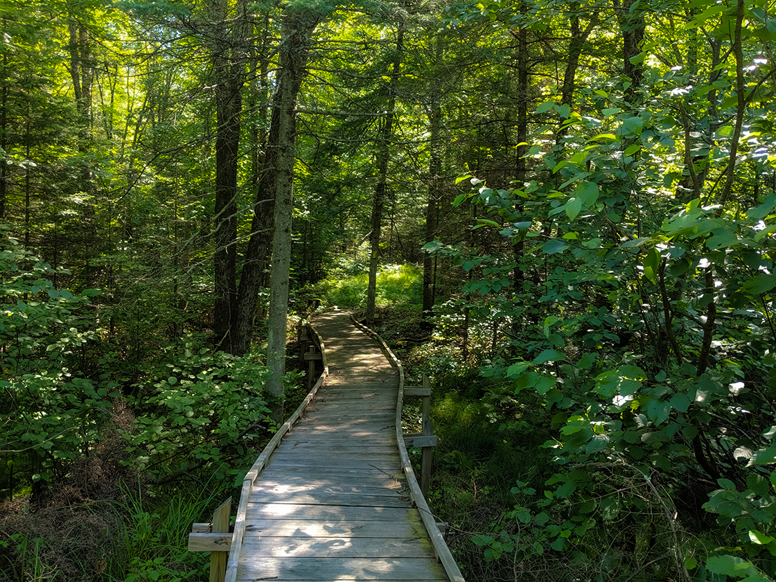 Hiking the Ice Age Trail Rib Lake Segment