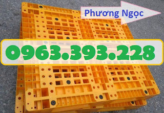 Pallet nhựa, pallet kê hàng, pallet nhựa giá rẻ, pallet nhựa nguyên sinh PL1