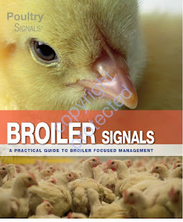 Broiler Signals