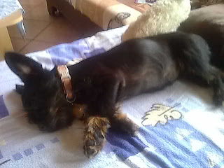08082011294.jpg