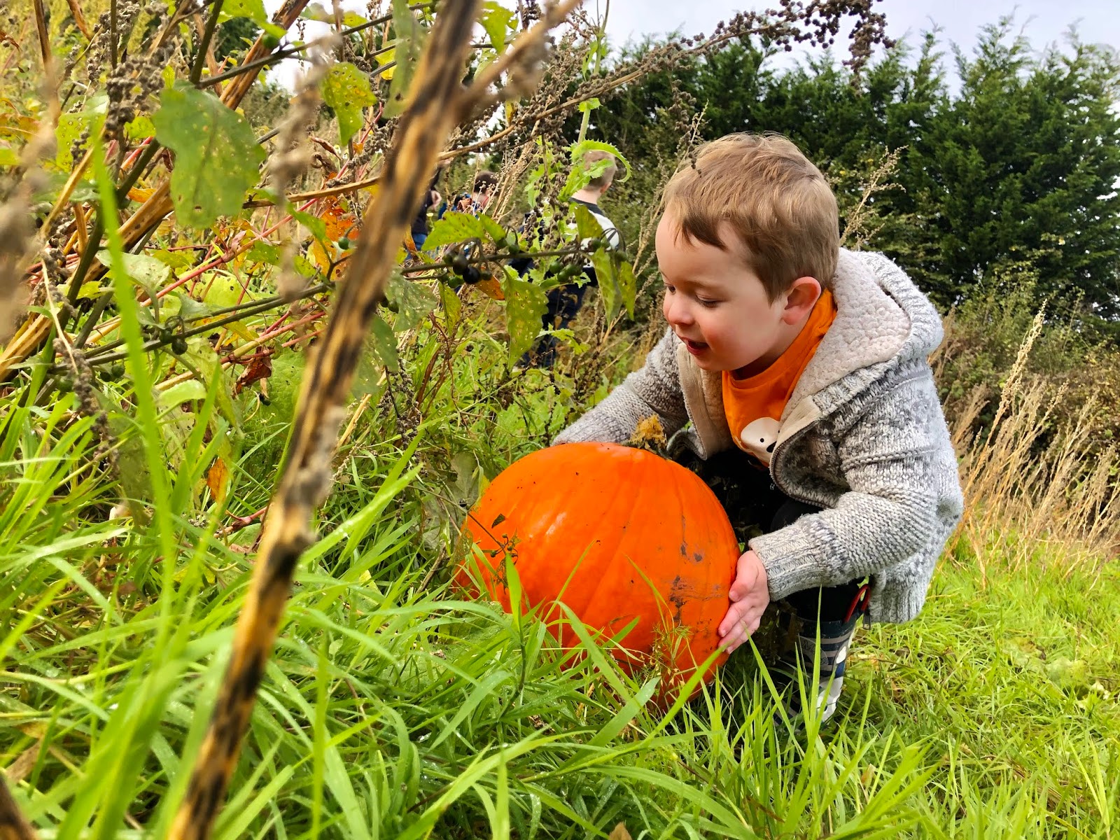 That Liz & Those Boys A Family and Lifestyle Blog Pumpkin Picking at