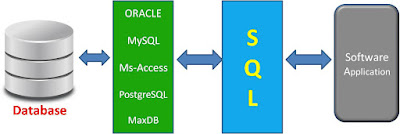 DBMS DBMS, SQL, Database