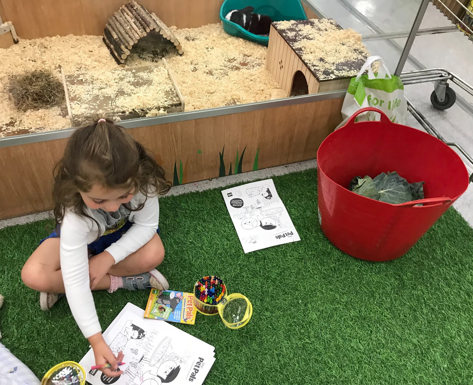 Can You Take Your Dog Into Pets At Home