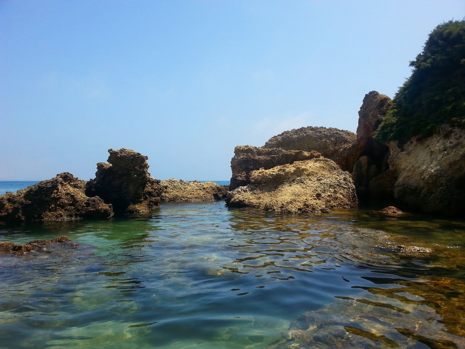Foto de Cala del Aceite en Conil de la Frontera, Cádiz