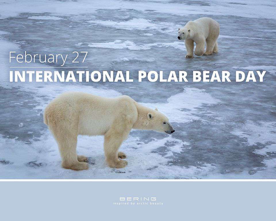 International Polar Bear Day Wishes Sweet Images