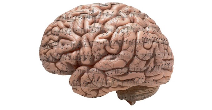 Música para un cerebro saludable
