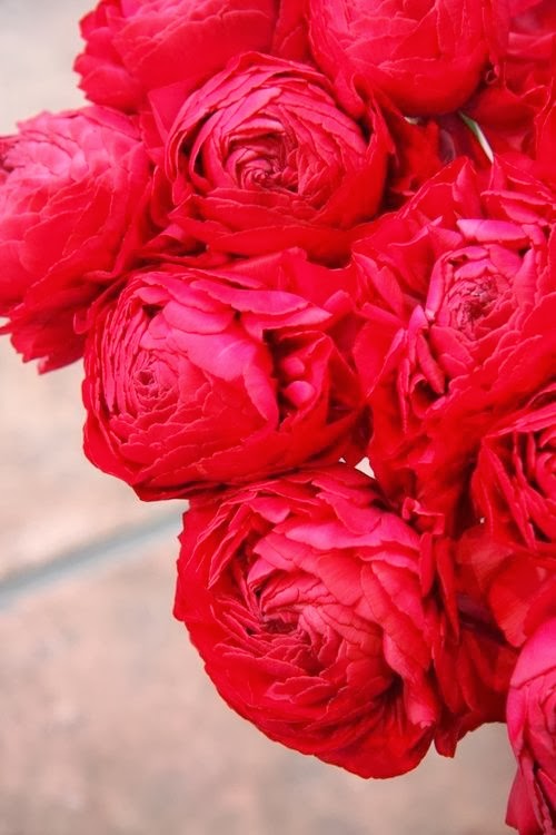 Marsha Harris Scott Splenderosa: Happy Valentine's to my girlfriend ...