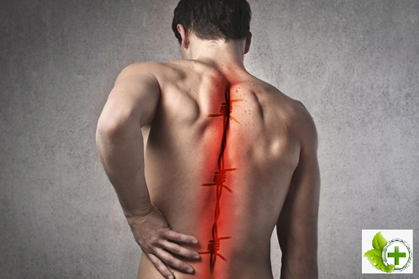 Spine spines make you more likely to have low back pain