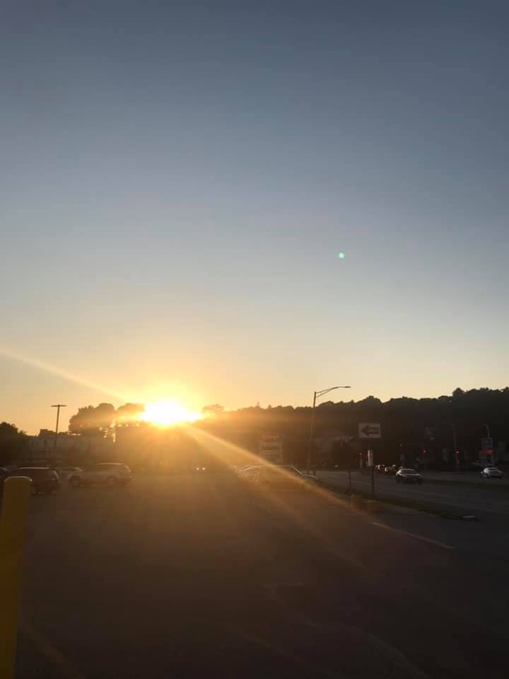 Sunny The Song Over 1 000 Versions Of Sunny sunny the song over 1 000 versions of