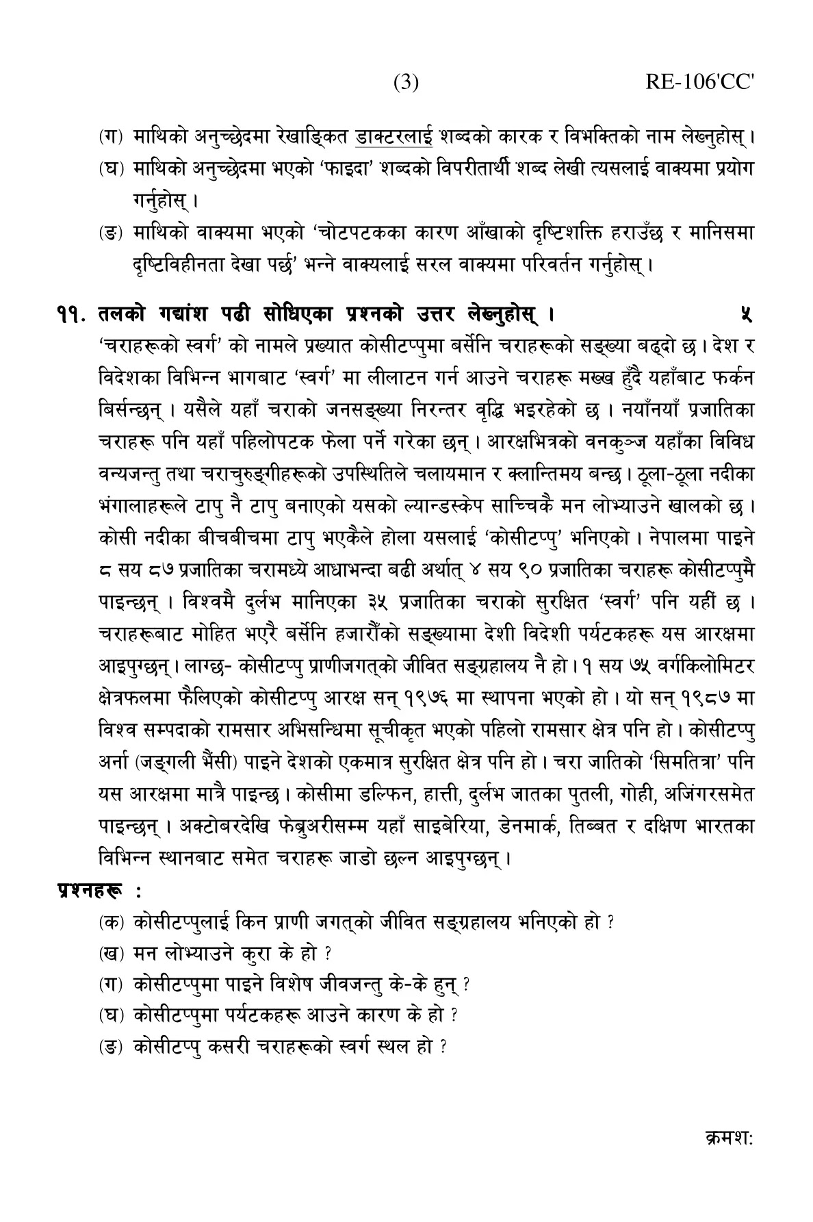 meaning of career summary in nepali