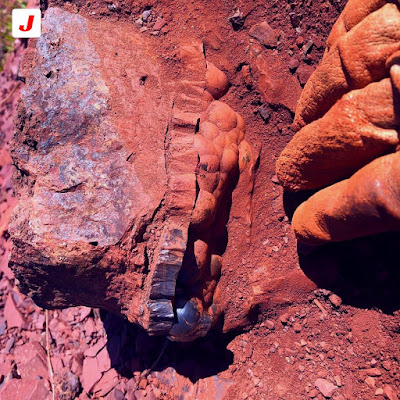 Copper ores images , jharkhand blogs