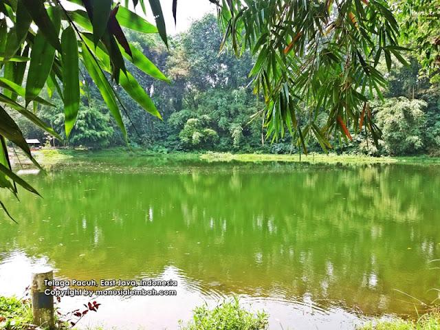 Wisata Telaga Pacuh Blitar.