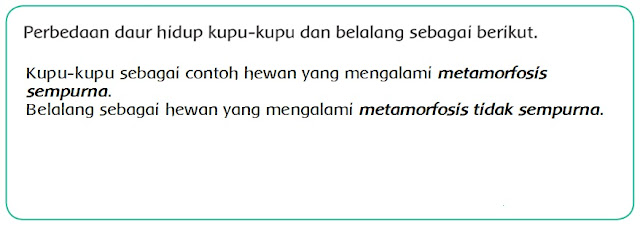  Materi dan Kunci Jawaban Tematik Kelas  Kunci Jawaban Tematik Kelas 4 Tema 6 Subtema 1 Halaman 14, 16, 17, 21