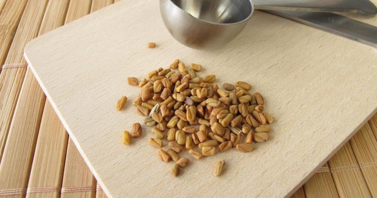 25 اهم فائدة من فوائد الحلبة للشعر والبشرة والصحة وصفاتي