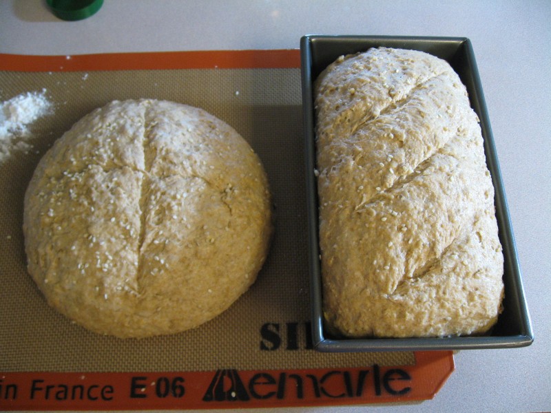 For the loaf of bread Sprouted Barley Bread