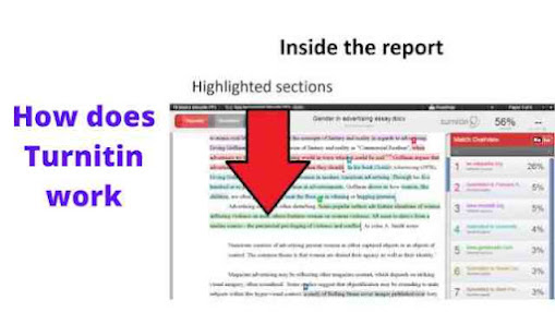 How does Turnitin work
