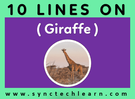 short essay on giraffe