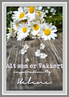 MIN HOVED-BLOGG: