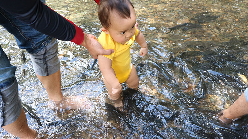 Fish spa Luanti selaim Marakau Bom bon.