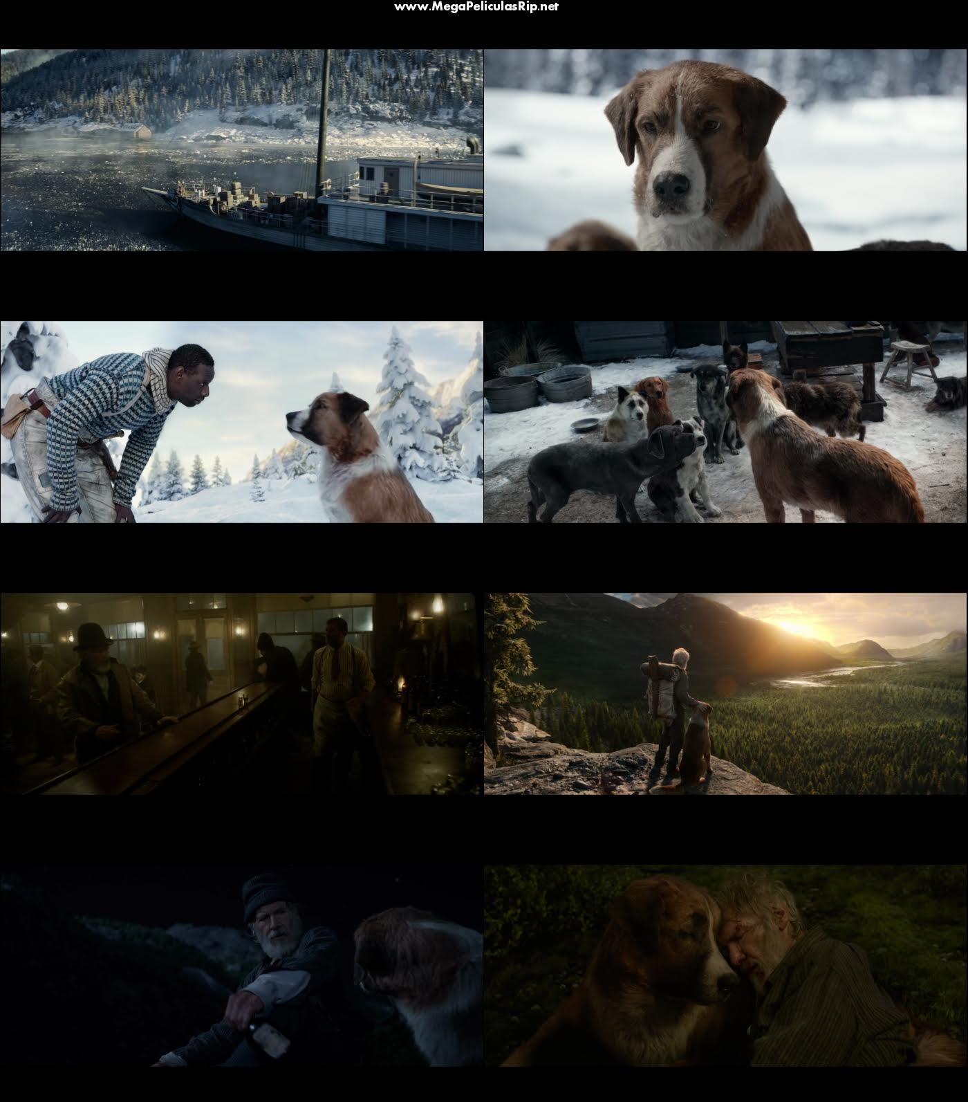 El Llamado Salvaje 1080p Latino