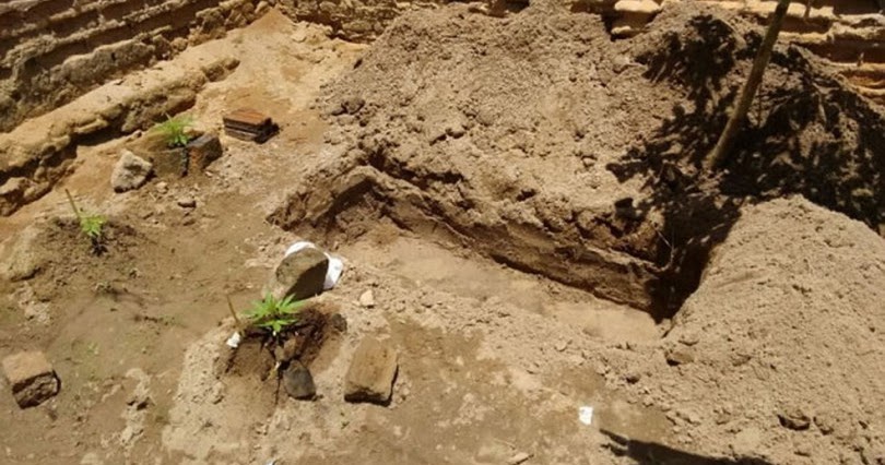 Jovem é detido em PE suspeito de cavar cova no quintal de casa para