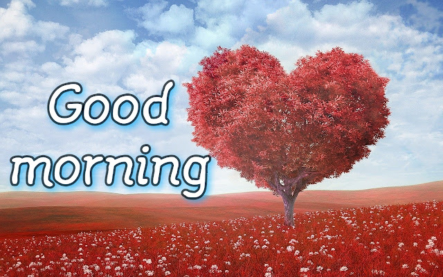 Good morning love hd images