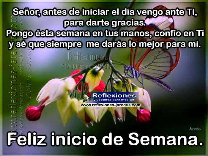 Imagenes De Reflexion Feliz Inicio De Semana | feliz inicio de semana gracias se 241 or reflexiones y Imagenes De Reflexion Feliz Inicio De Semana | feliz inicio de semana gracias se 241 or reflexiones y