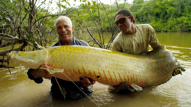Discovery presents River Monsters