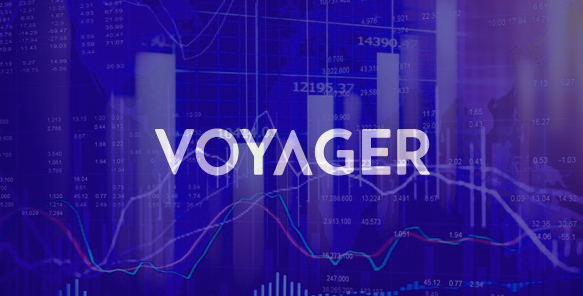 voyager review crypto