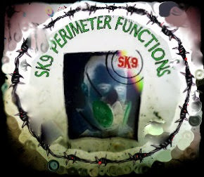 SK9 PERIMETER FUNCTIONS