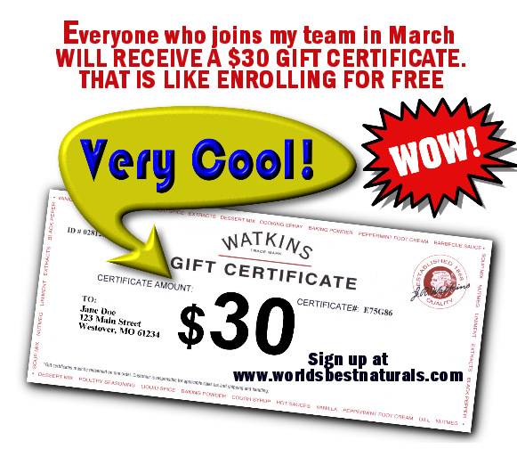 JR Watkins Consultants JR Watkins Consultants