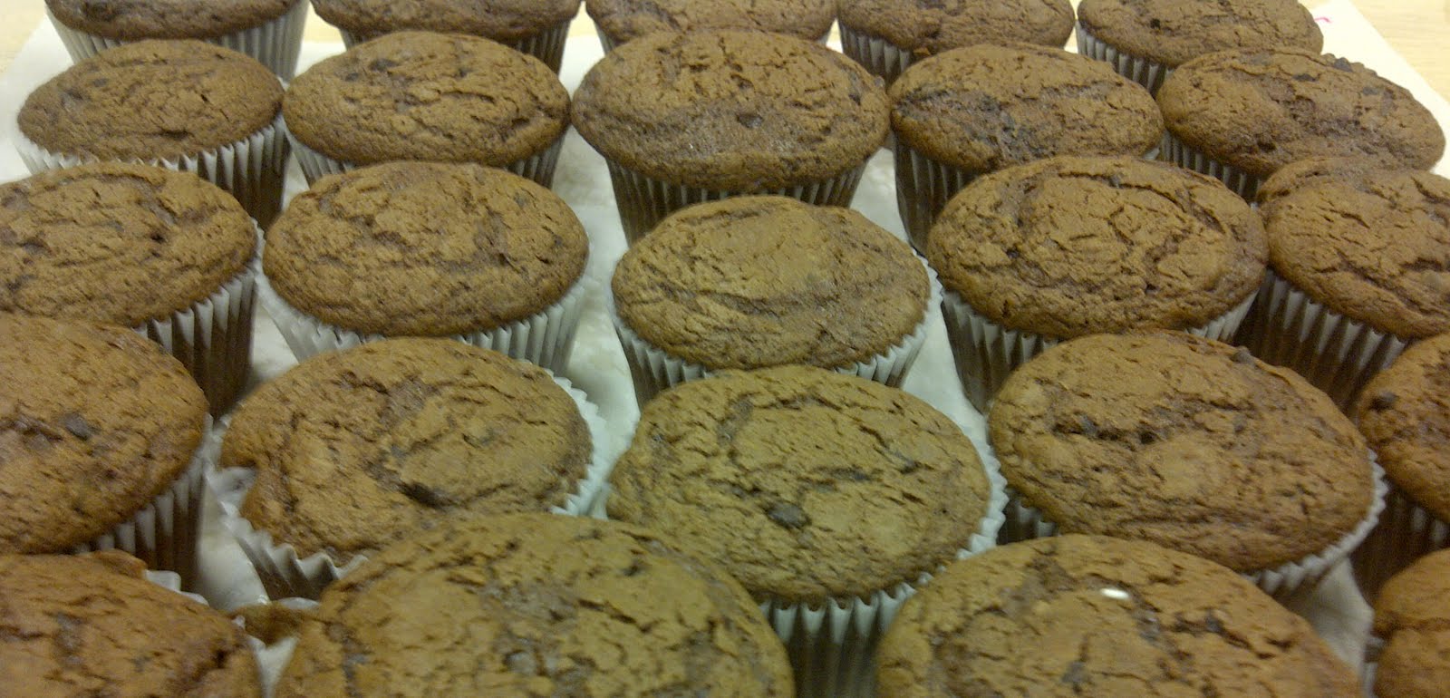 For Bake's Sake Coffee Cake, Double chocolate muffins and