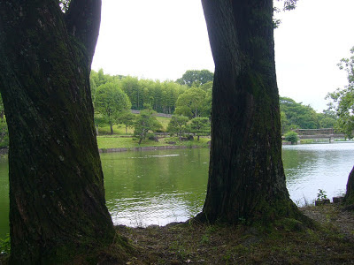 大阪府枚方市・山田池公園の風景