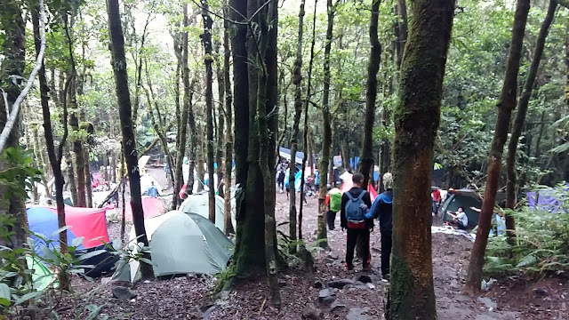 Camp di Kandang Badak