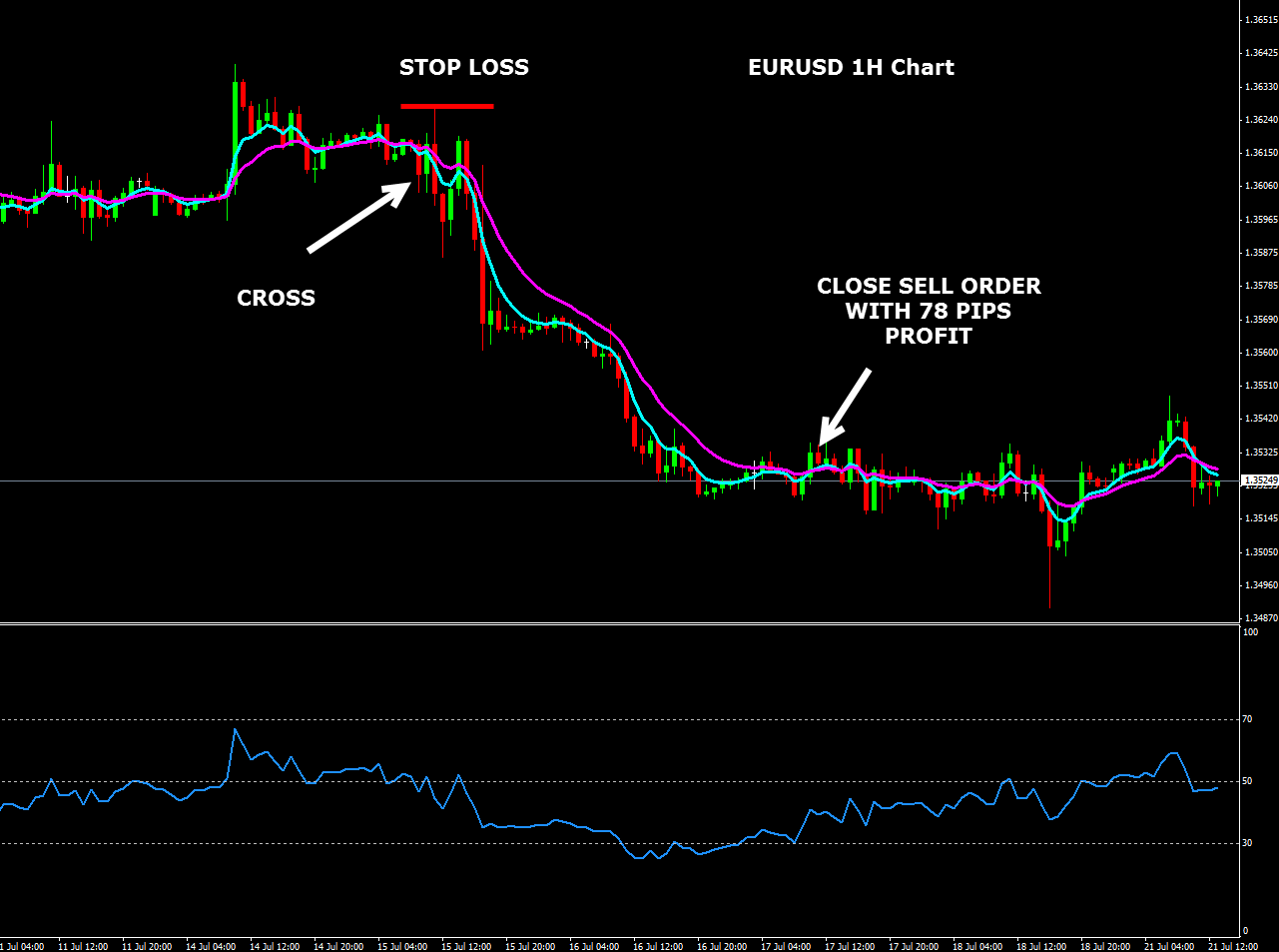Forex trading success rate