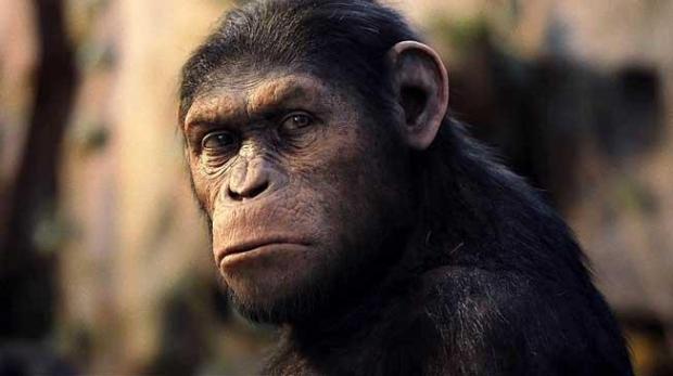 Disney lanzará nueva cinta de “El planeta de los simios”