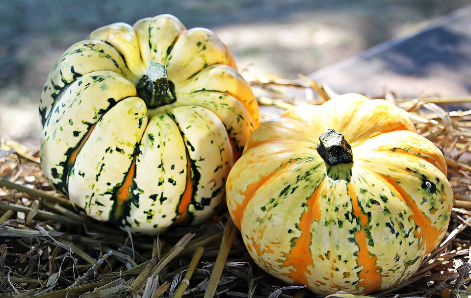 Baked Pumpkin and Watercress Fondue: Autumn Comfort Foods