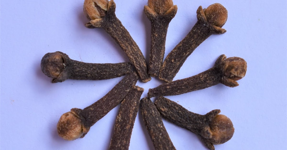 Plants & Environment CLOVES GOOD FOR VIRAL, BACTERIAL & FUNGAL INFECTIONS
